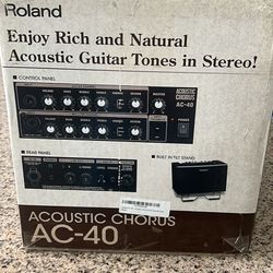 Roland AC-40 Amp