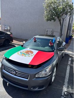 New Windshield