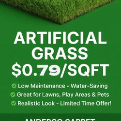 Artificial Grass And Turf For $0.79