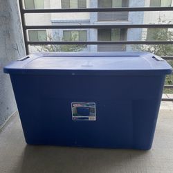 Large Sterilite Storage Bin