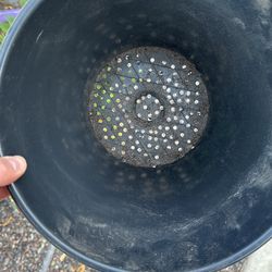 Cactus Nursery Pots extra Drainage Specifically For Cactus