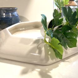 MCM Hexagonal Ceramic Flat Bottom Succulent Planter 10” wide 2” tall  Large 7.5” opening for planting  No drain hole 