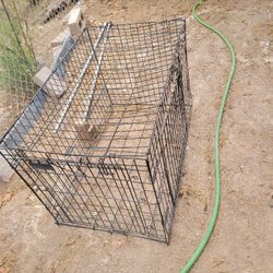 Pet Kennel