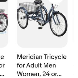 Schwinn Meridian 26-in Adult Tricycle