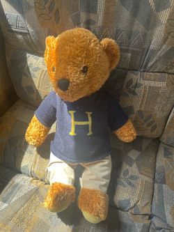 Universal studious harry potter bear