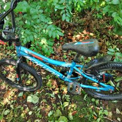 18' Bike