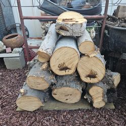 Magnolia  Wood Logs