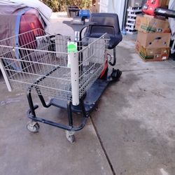 Electric ShoppingCart 