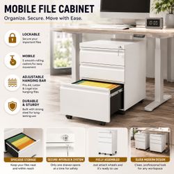 Mobile File Cabinet