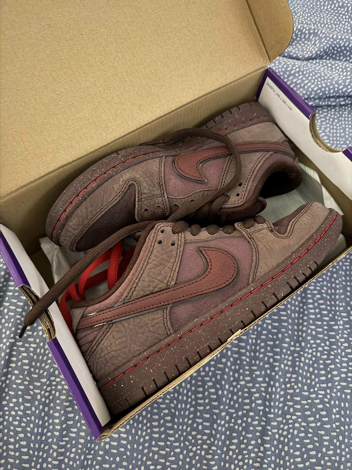 Nike Sb Dunks