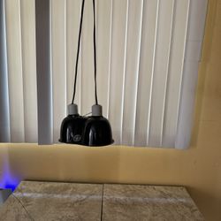 Zoo Med Reptile Light