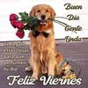 Chale