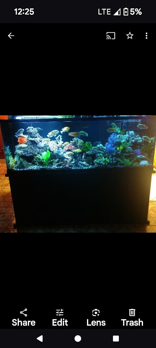 Fish Tank And Aquarium Supplies