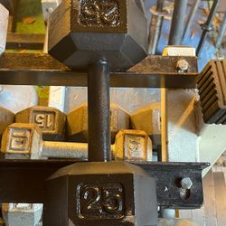 SINGLE 25 POUND DUMBBELL