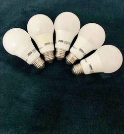 Efficient Feit Electric LED light bulbs