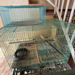 Bird Cage