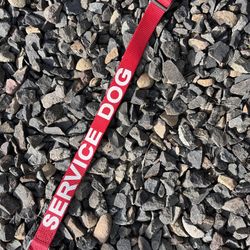 Dog Collars