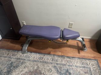 Purple Weight Bench (Good-Condition)
