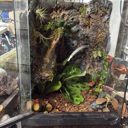 Terrarium 12*12*18 