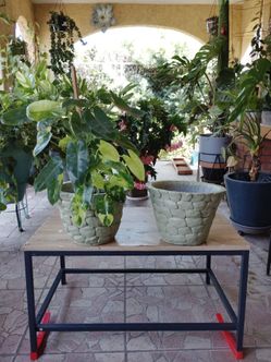 Cement Pot Set of 2🪴
