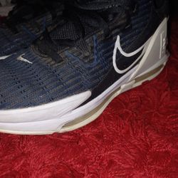 Mens Size 12 LeBron Witness 6s