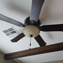 TWO-Hunter Ceiling Fans