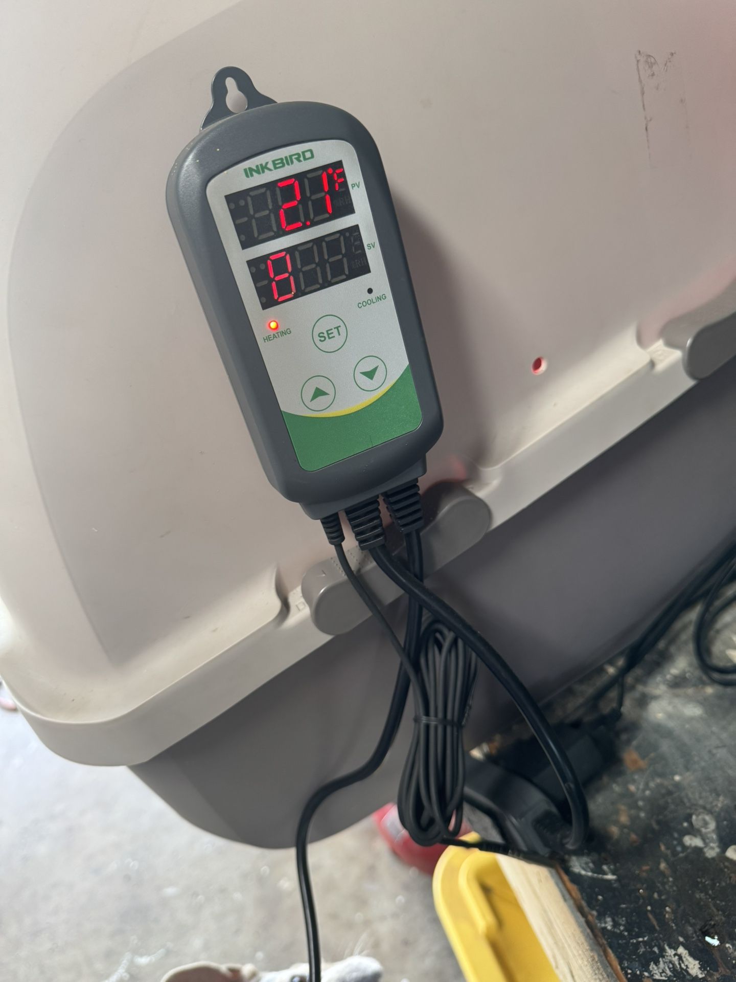 Incubator For Puppies Or Kittens