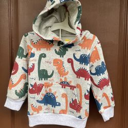 Dinosaurs  Pullover Hoodie 4T