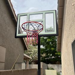 LifeTime Basketball Hoop