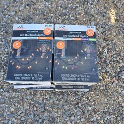 5 Packs Orange / 5 Pack Muilti Color 