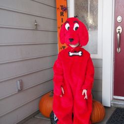 Clifford the big red dog costume