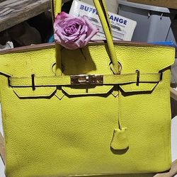 Hermes Birkin 25cm Handbag in Lime Swift