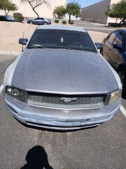 2007 mustang