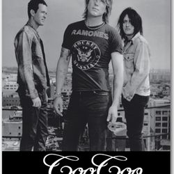 Goo Goo Dolls Poster From Concert 