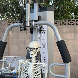 Golds Gym weight machine