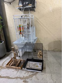 Bird cage