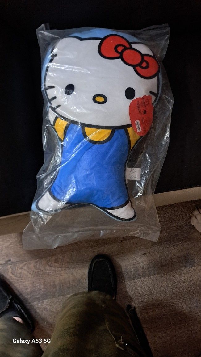 New Hello Kitty Pillow