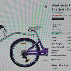 WeeRide Co-Pilot Tagalong Child Bike Seat