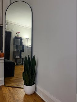 Mirror 71H X 23.5W