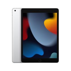 iPad 10.2 2021 Model Wifi 2 month Old 