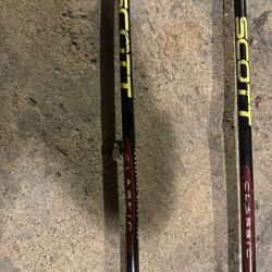 Ski Poles 