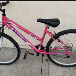 Girls New Bicycle 