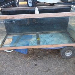 Fish Tank
