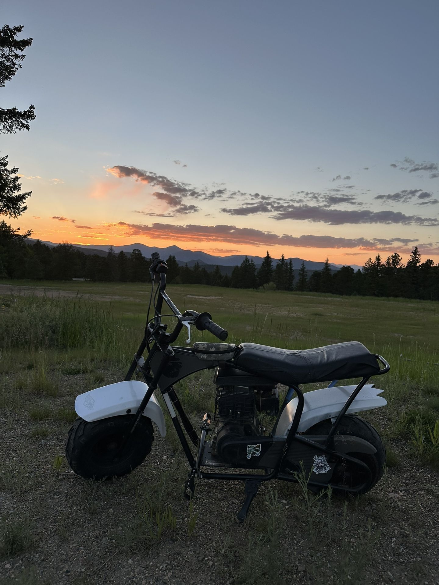 Monster Moto Mini bike Modded 2018