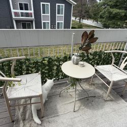 Selling 2 Chairs + 1 Table