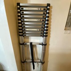 Telescoping Ladder 16.5 Feet