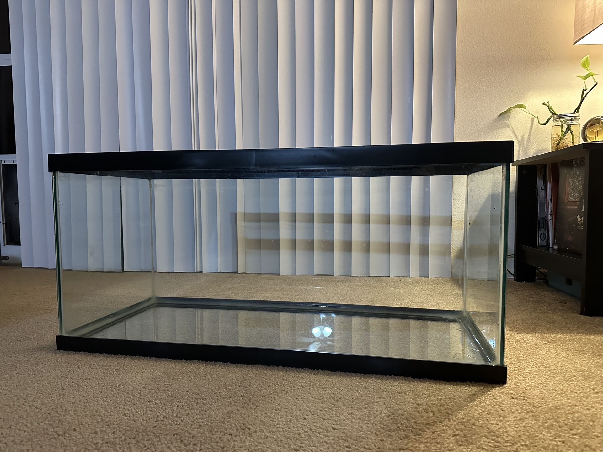 40g Tank