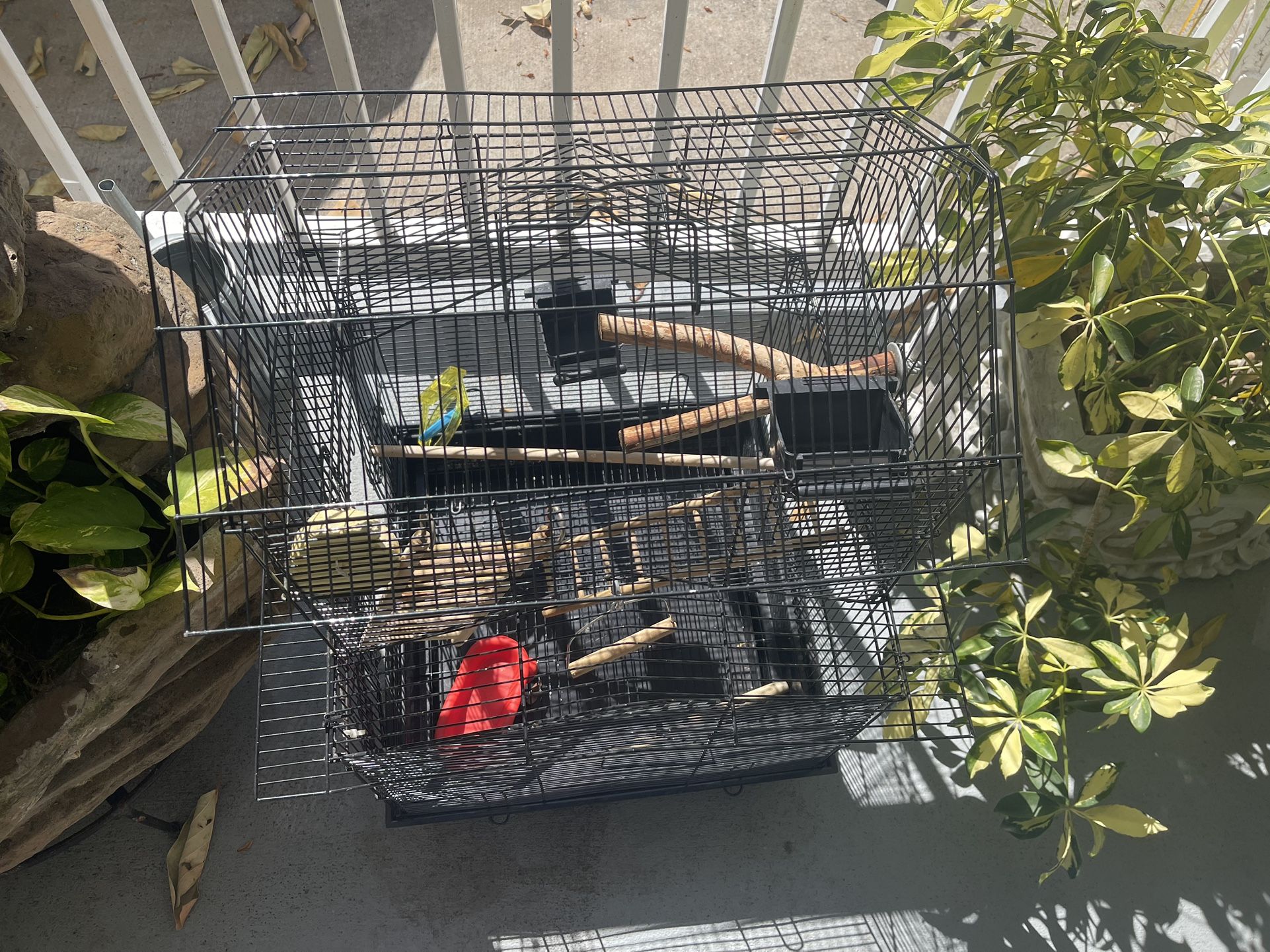 Bird Cage
