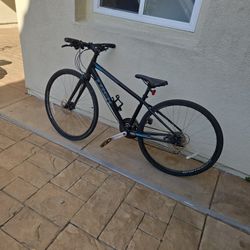 Trek Street Bike