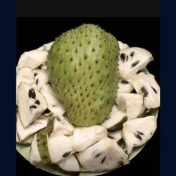 Soursop Graviola Guanabana Annona Muricata 1 Gallon Seedling Plant Tree Fully Grown